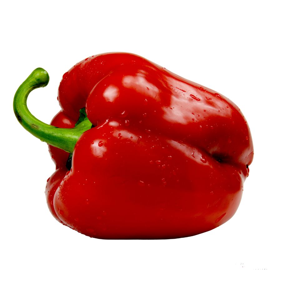 gaston chilli (23)